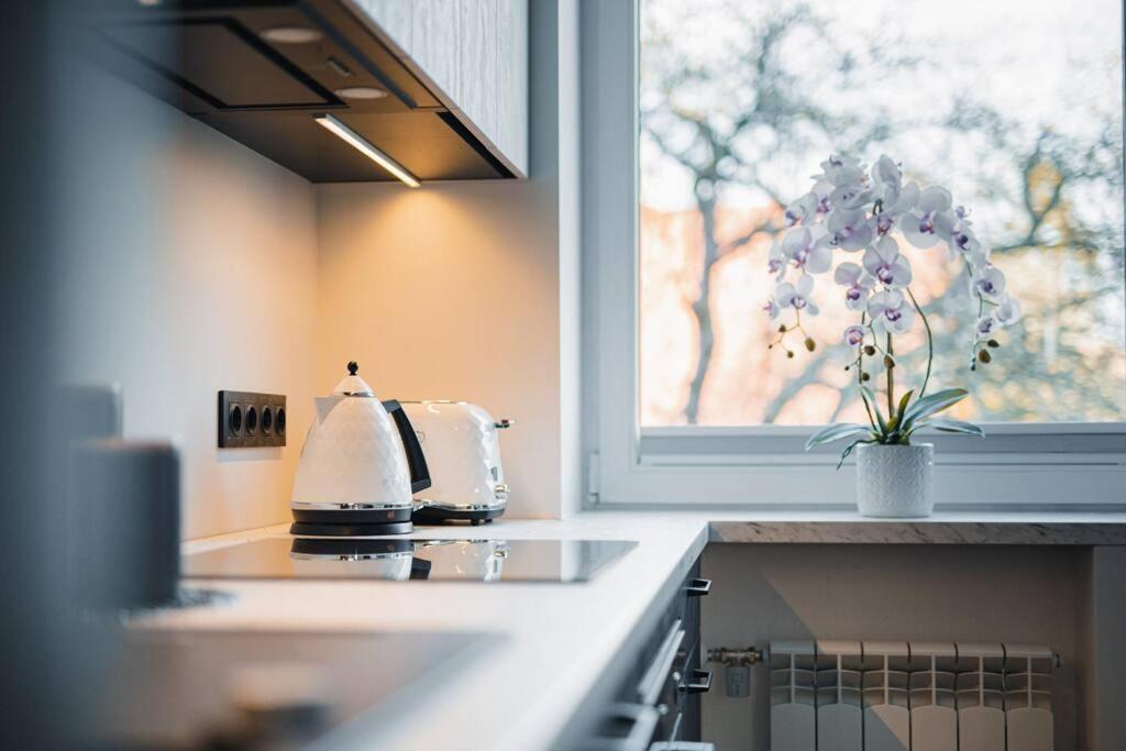 New Luxury 3Br Apartment In Old Town, Free Parking Haapsalu Exteriér fotografie
